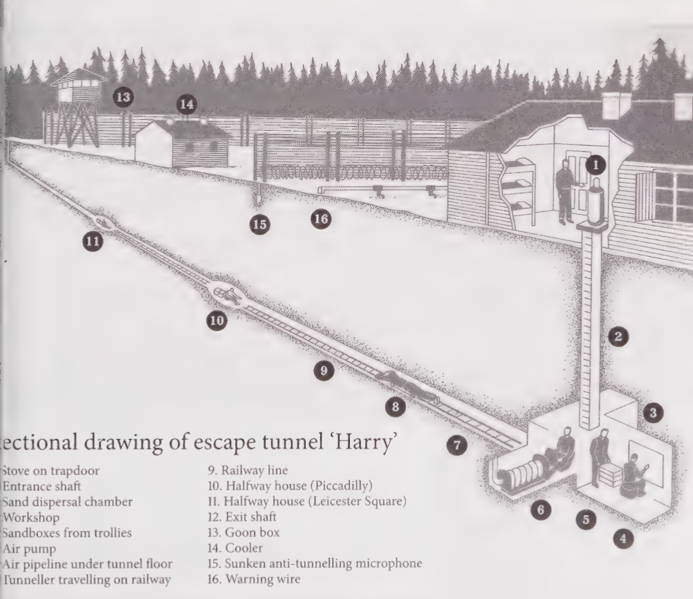 Drawing of the tunnel Harry.