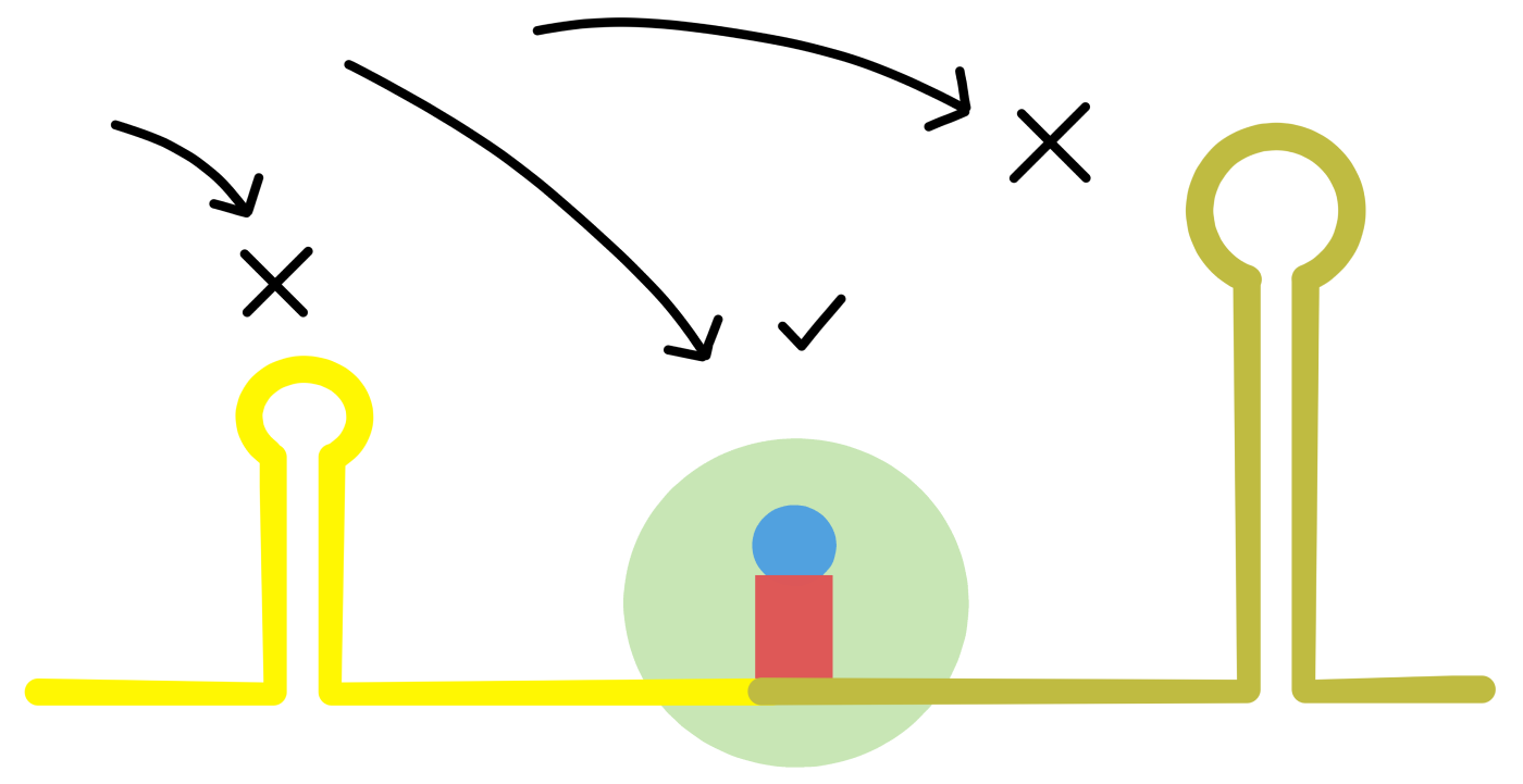 Ribosomet binder steder i mRNA som er frie for intramolekylær baseparing.